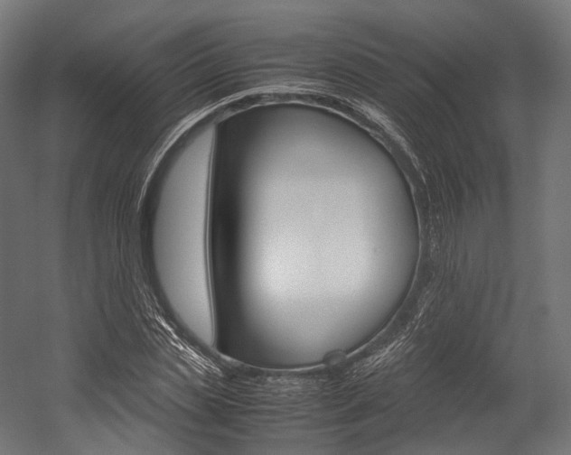 X0000054470829200507291045
