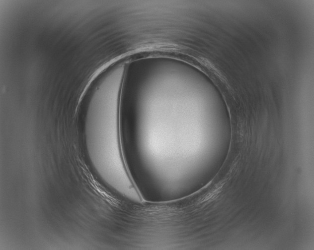 X0000054470830200507291045