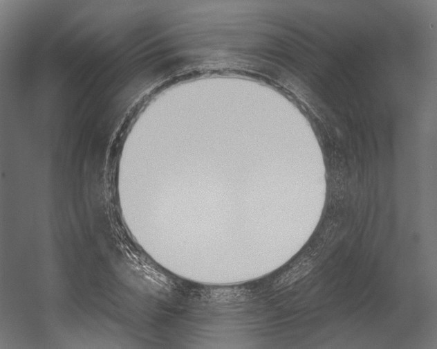X0000054470832200507291045