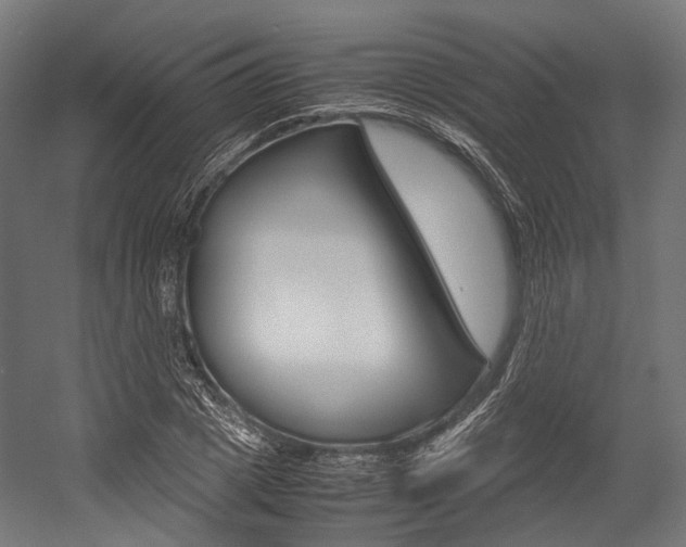 X0000054470833200507291045
