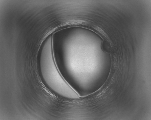 X0000054470834200507291045