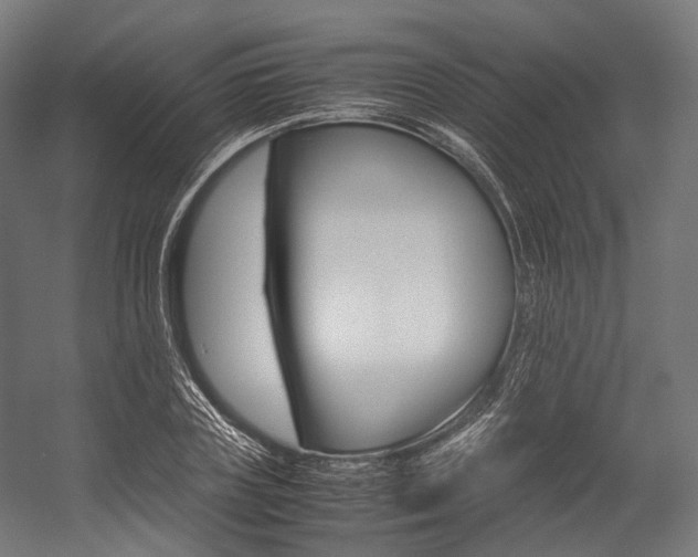 X0000054470835200507291045