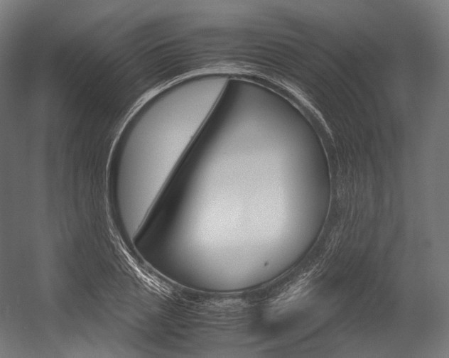 X0000054470837200507291045
