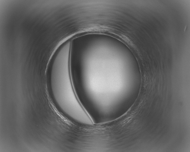 X0000054470838200507291045