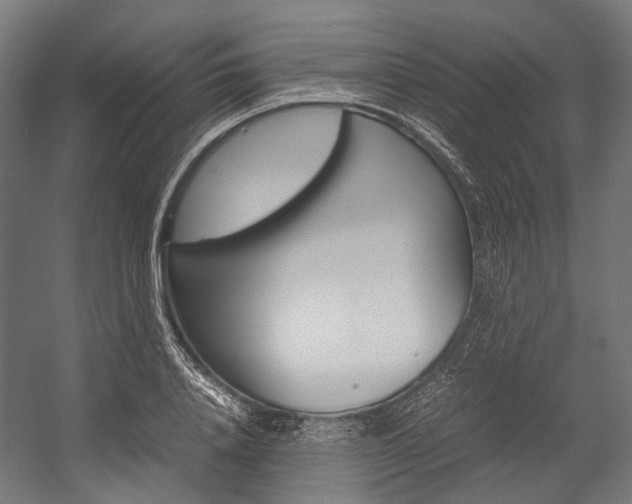 X0000054470840200507291045