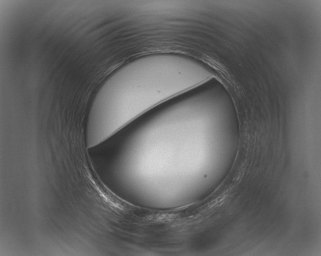 X0000054470841200507291045