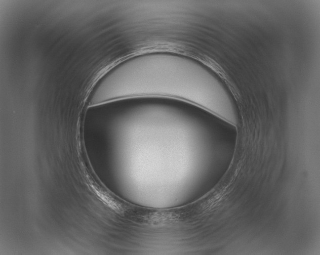 X0000054470842200507291045