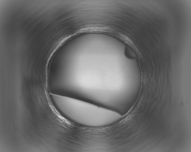 X0000054470844200507291045