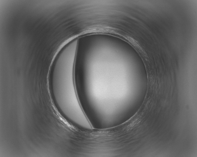 X0000054470846200507291045
