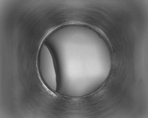 X0000054470847200507291045