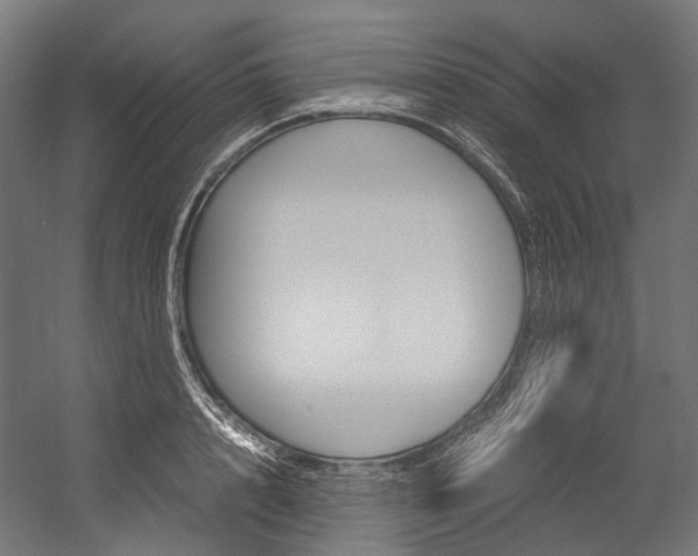 X0000054470848200507291045