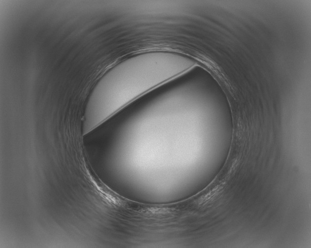 X0000054470849200507291045