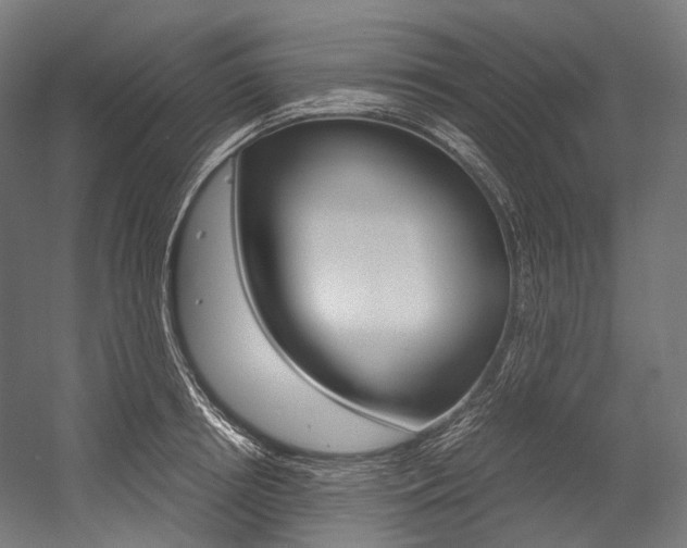 X0000054470850200507291045