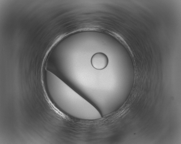 X0000054470851200507291045