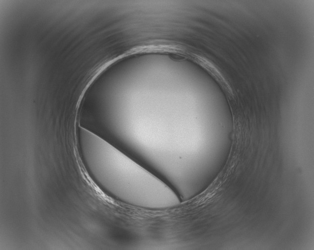 X0000054470852200507291045