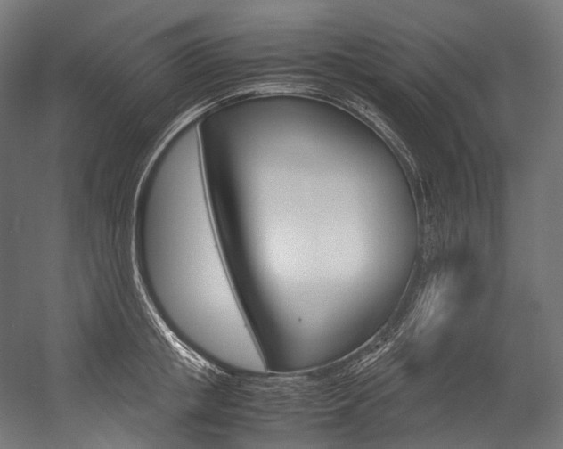 X0000054470853200507291045