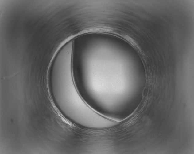 X0000054470854200507291045
