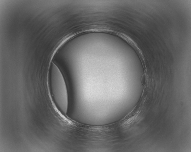 X0000054470855200507291045
