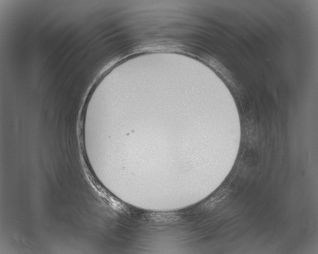 X0000054470856200507291045