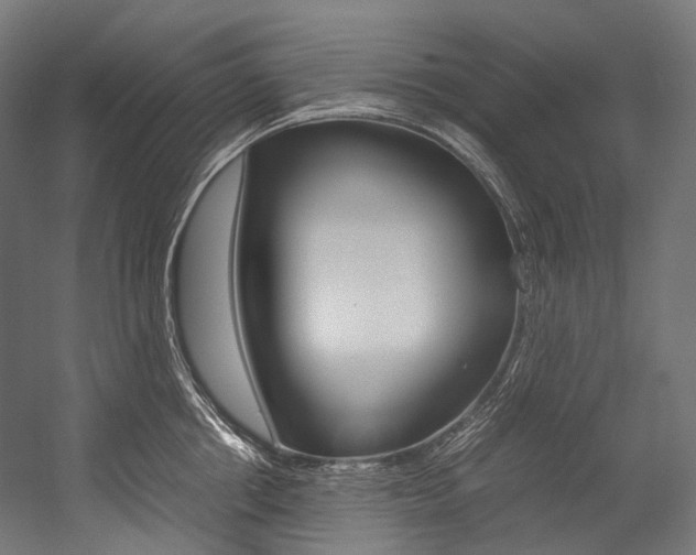 X0000054470858200507291045