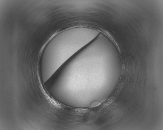 X0000054470859200507291045