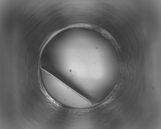 X0000054470860200507291045