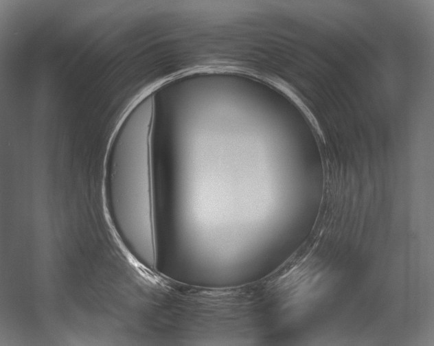 X0000054470861200507291046