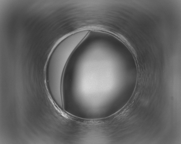 X0000054470862200507291046