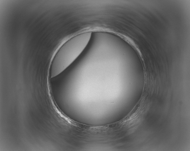 X0000054470863200507291046