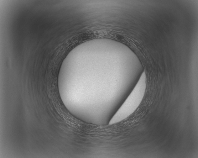 X0000054470865200507291045