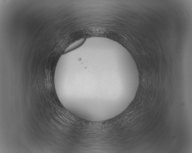 X0000054470866200507291045