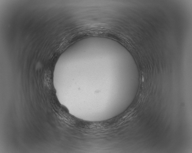 X0000054470867200507291045