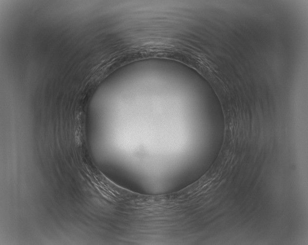 X0000054470868200507291045