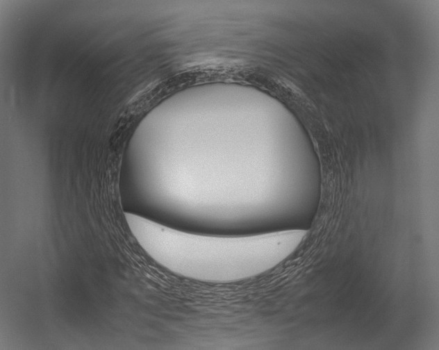 X0000054470869200507291045