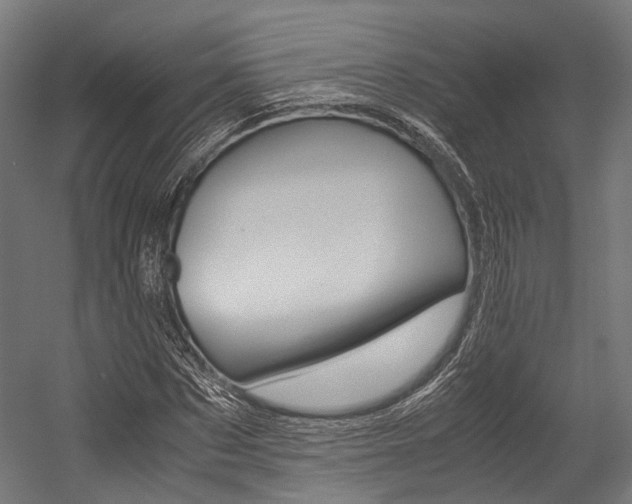 X0000054470873200507291045