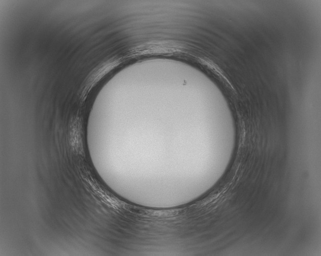 X0000054470874200507291045