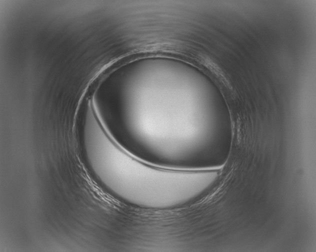 X0000054470876200507291045