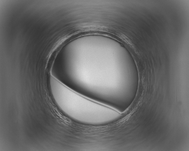 X0000054470877200507291045