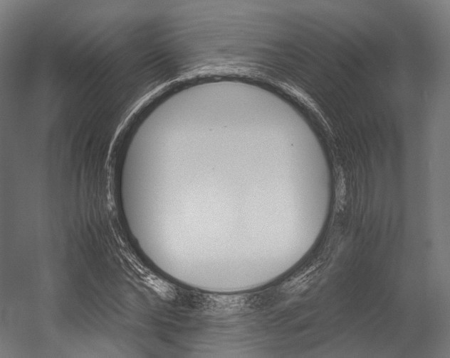 X0000054470878200507291045