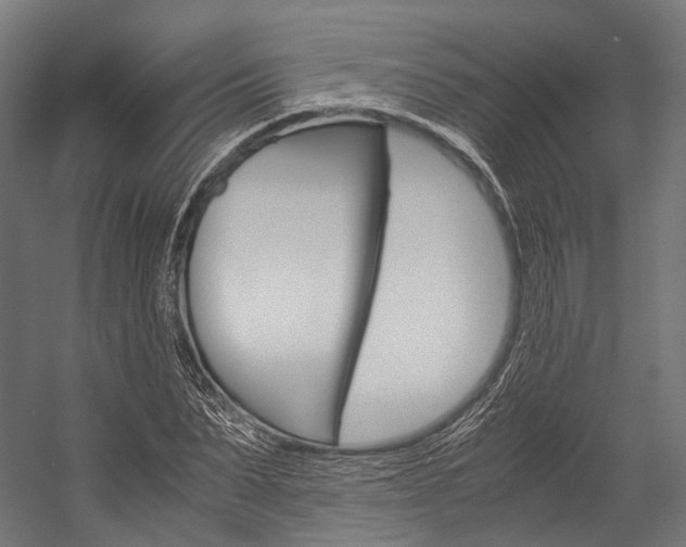 X0000054470879200507291045