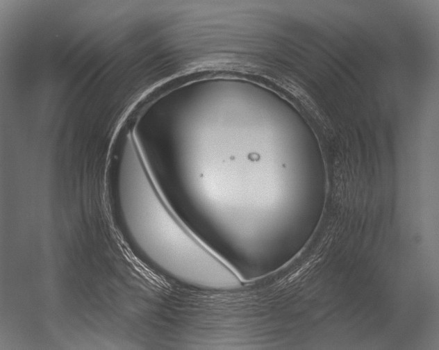 X0000054470880200507291044