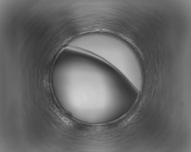 X0000054470881200507291044
