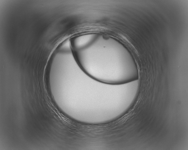 X0000054470883200507291044