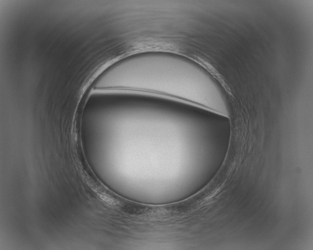 X0000054470885200507291044