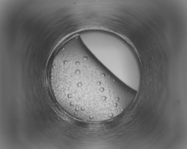 X0000054470887200507291044