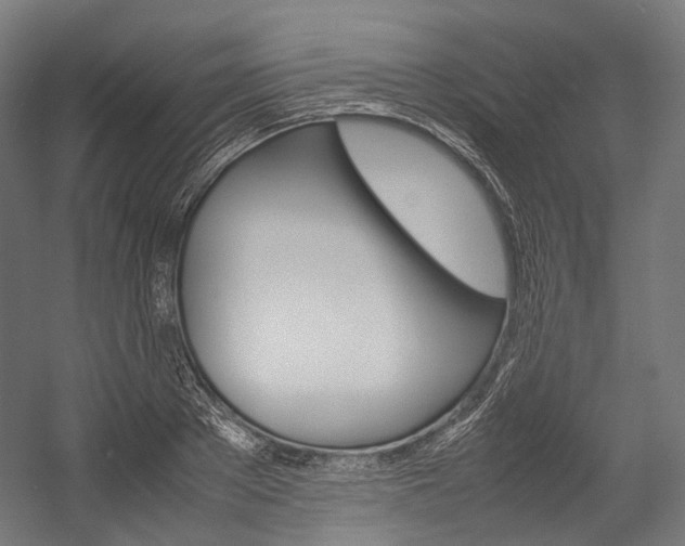X0000054470889200507291044