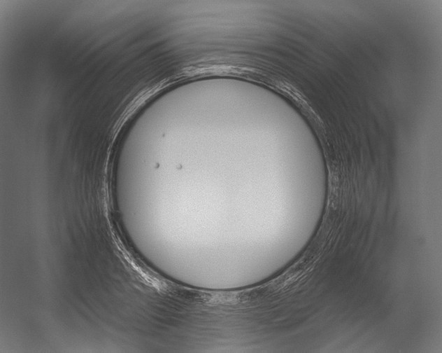 X0000054470890200507291044