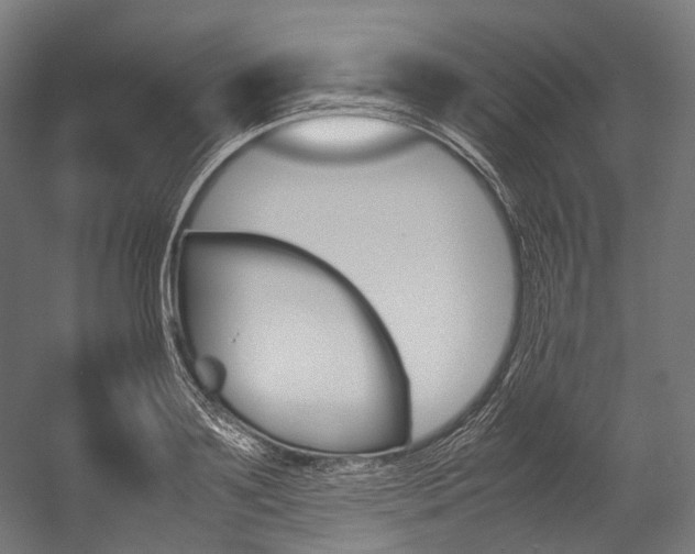 X0000054470891200507291044