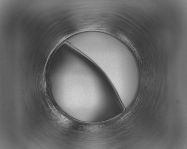 X0000054470892200507291044