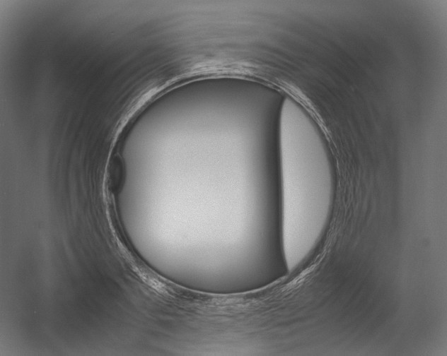 X0000054470893200507291044